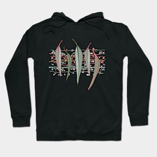 Bush Eucalyptus leaves Hoodie